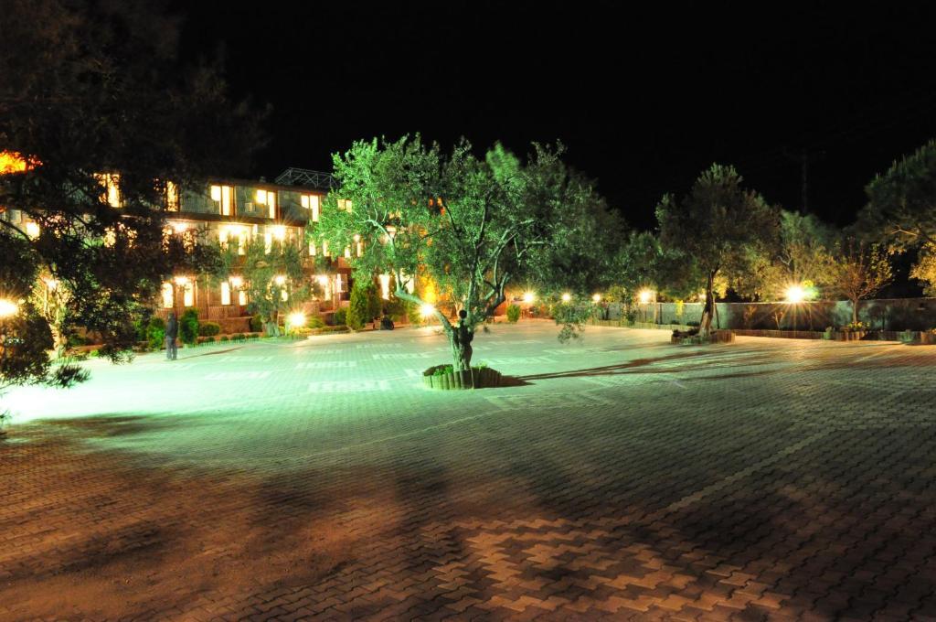 Assos Park Hotel Luaran gambar